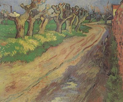 Vincent Van Gogh Pollard Willows (nn04) China oil painting art